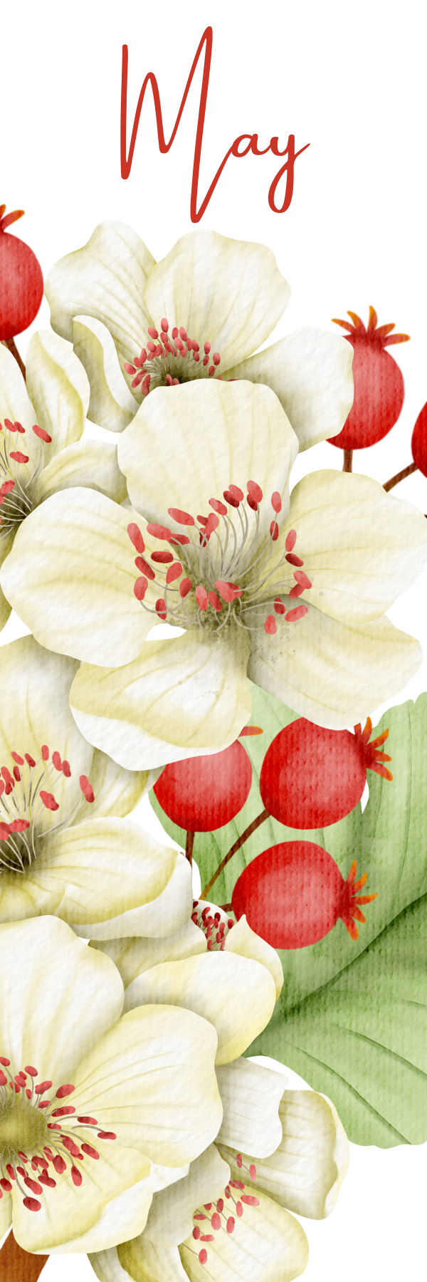 Watercolor Birth Month Flower Bookmark - 2" x 6" - Handmade - Laminated