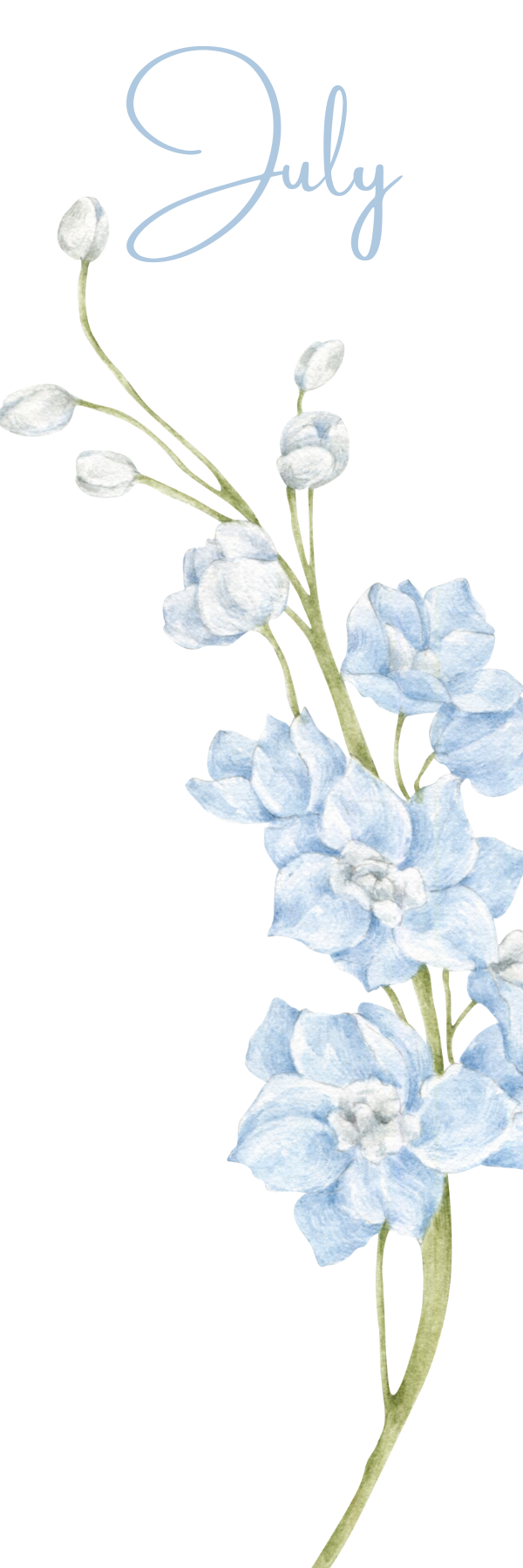 Watercolor Birth Month Flower Bookmark - 2" x 6" - Handmade - Laminated