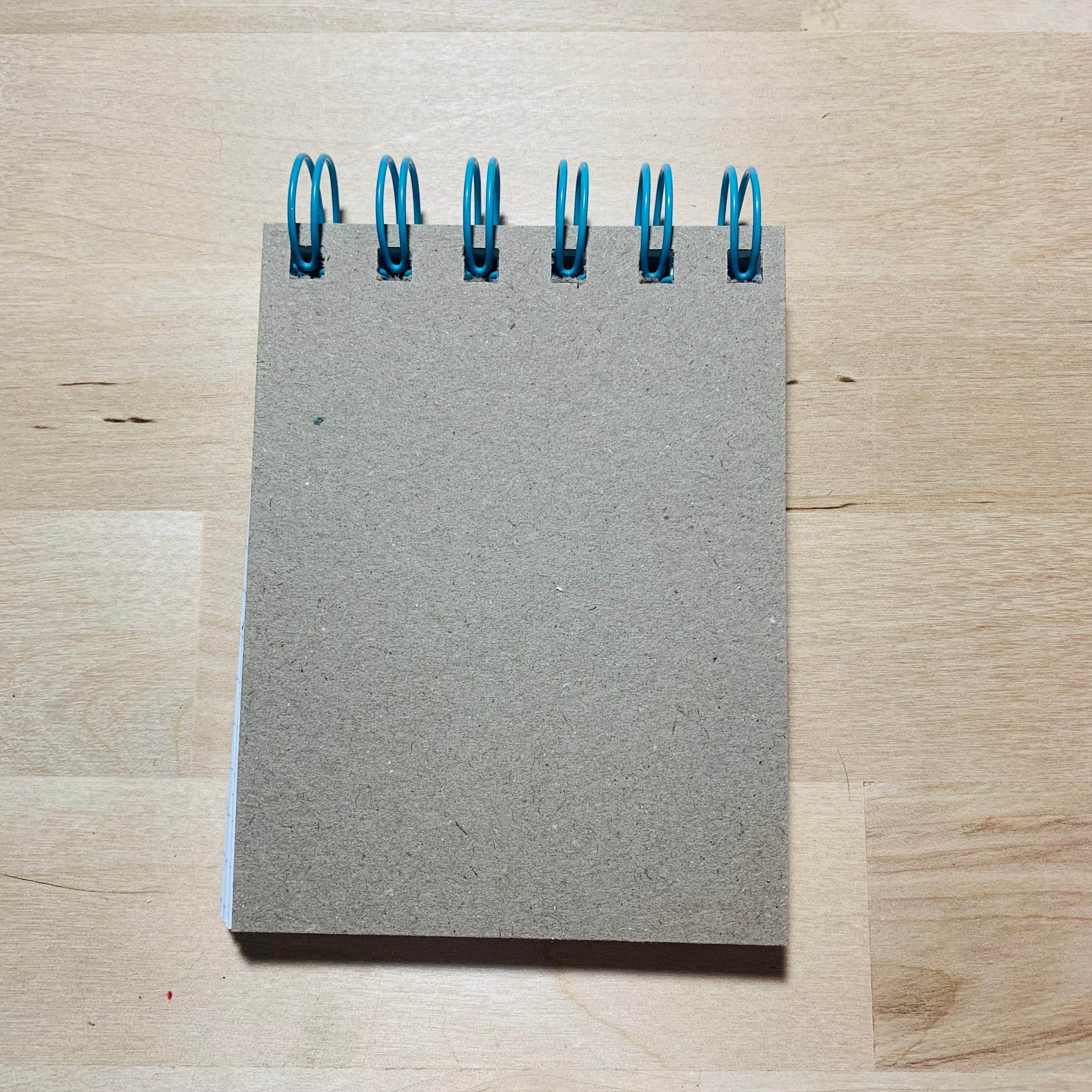 Mini Pocket Notebook - Random Thoughts - 3" x 4" - Funny Sassy Notebook