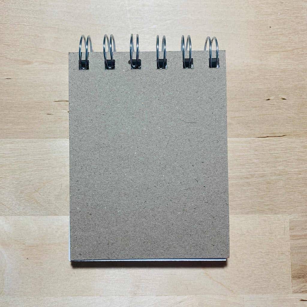 Mini Pocket Notebook - Sh*t I Won't Remember - 3" x 4" - Funny Sassy Notebook