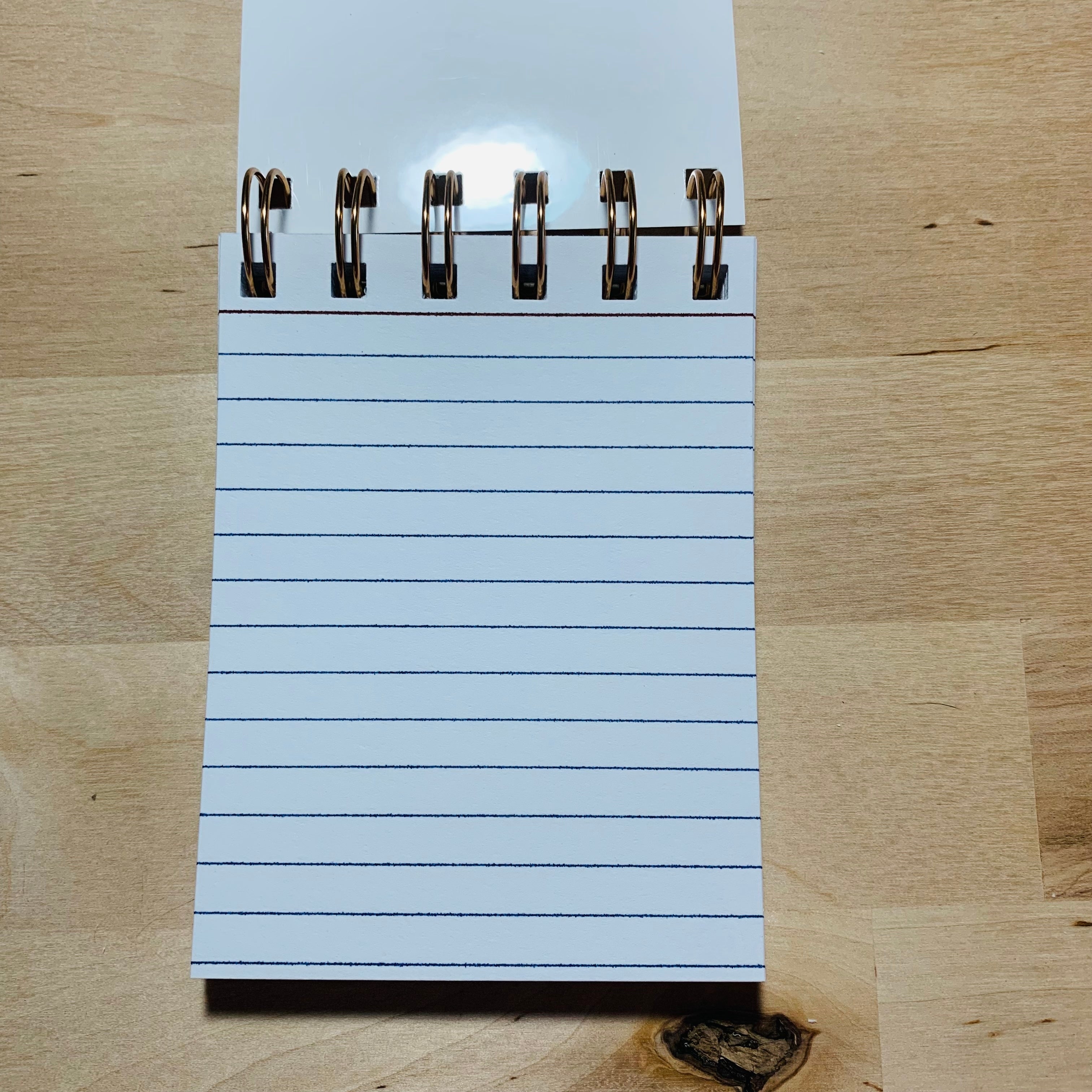Mini Pocket Notebook - I'll Remember This Never - 3" x 4" - Funny Sassy Notebook